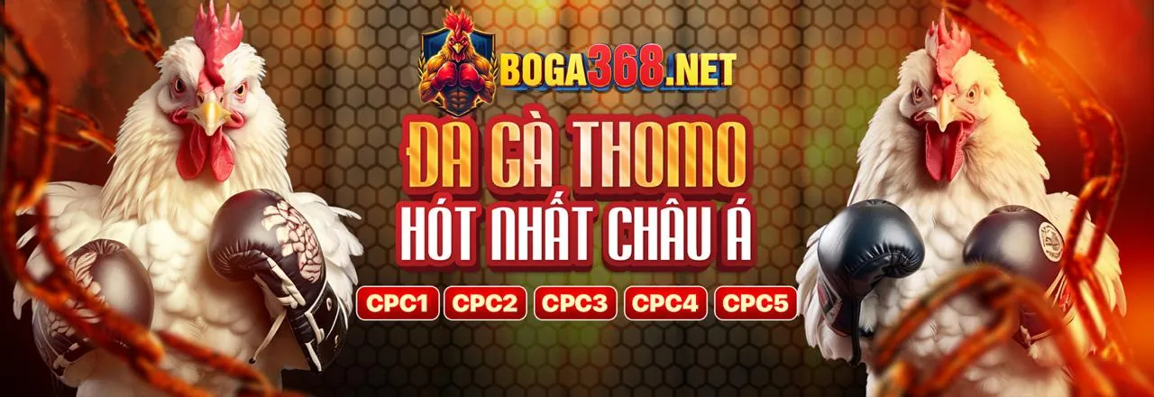 Hình ảnh tiêu đề trang Tin Tức dn88